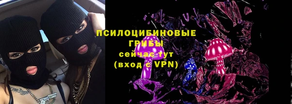 крисы Алзамай