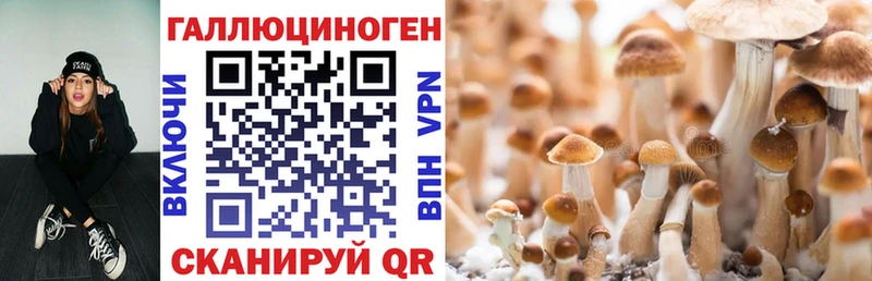 Галлюциногенные грибы Psilocybe  Батайск 