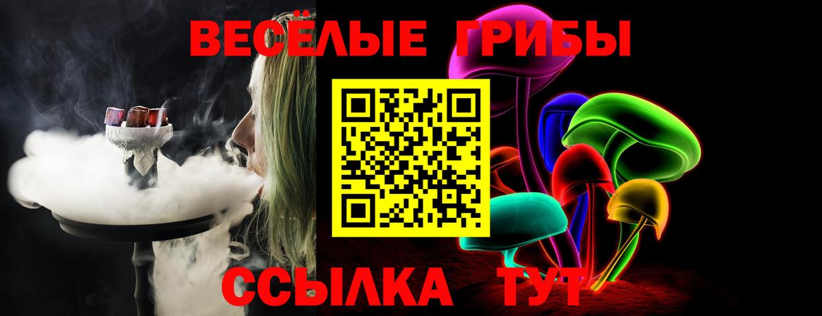 Псилоцибиновые грибы Psilocybine cubensis  Вход с VPN  Псилоцибиновые грибы Psilocybe  Батайск 